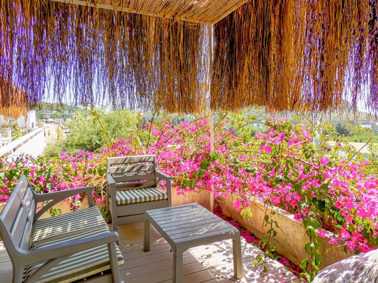 Studio Balcony