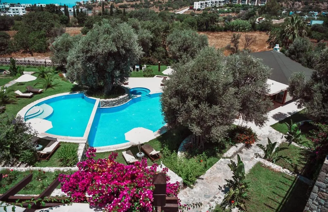 Amore Boutique Hotel-1