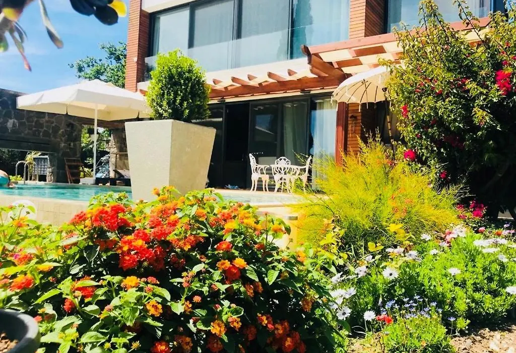 Villa No 5-1