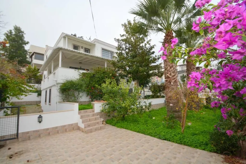 Bodrum Bitez Denize Yakin Villa Palmiye-1