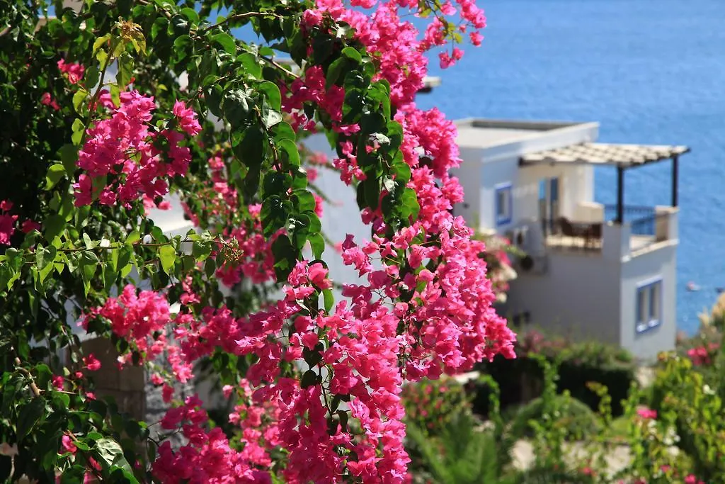 Aktur Residence-1