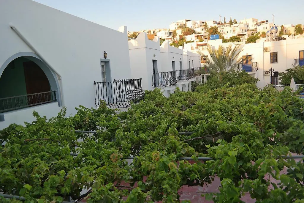 Dilek Apart Hotel-1