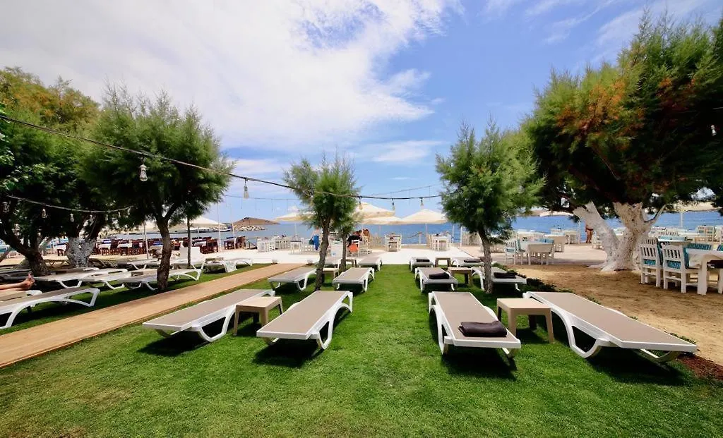 Ali'S Hotel Beach-1