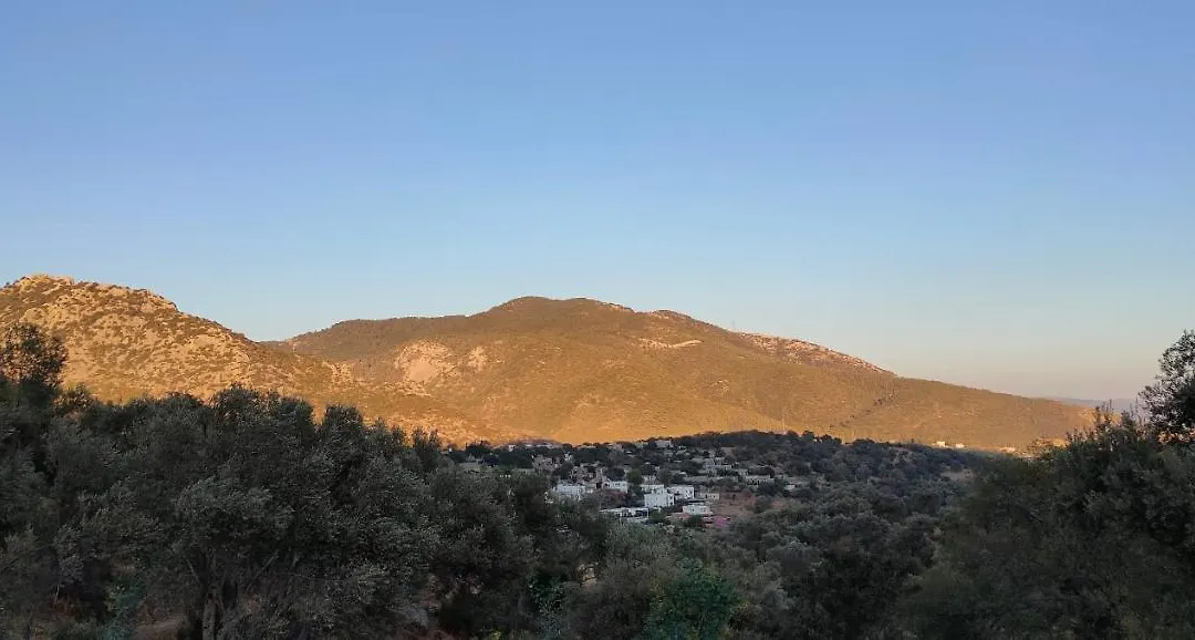 Cosy, Luxury Villa In Yakakoey, Bodrum With 4 Master Rooms Private Garden And Pool Nested In The Olive Tree Fields-1