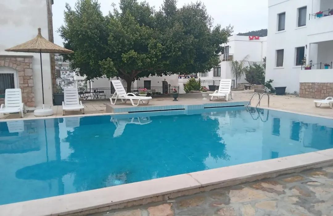 Dolphin Residences - Lilyum 3-1