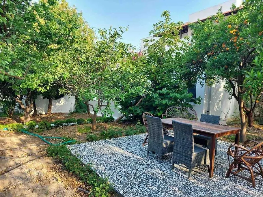 Mel'S Garden House In The Heart Of The City-1