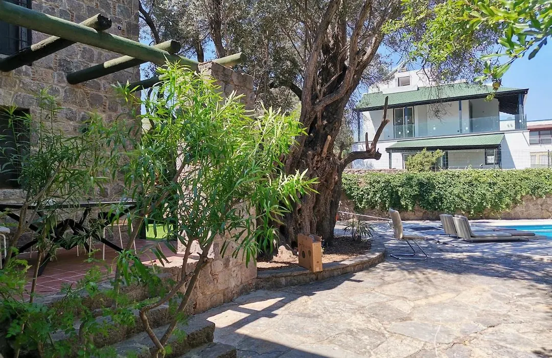 Secret Garden Villas, Private Pool In Yalikavak-1