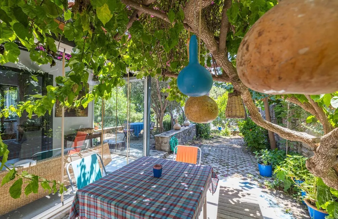 Villa Seahorse-1