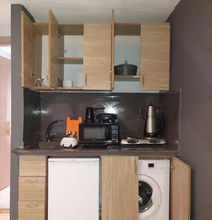 Rozetta Suite-1