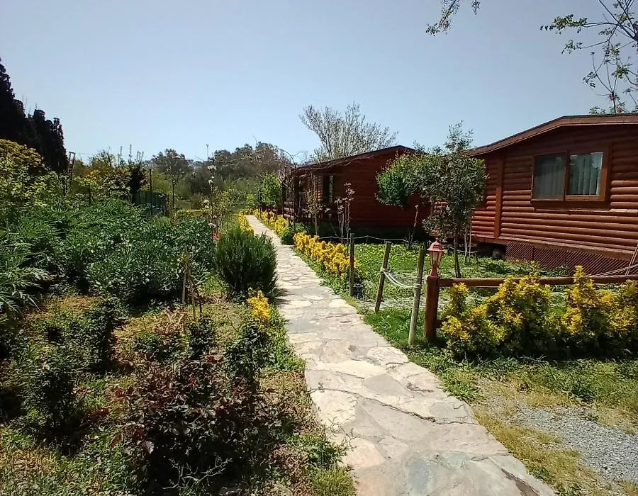 Defnewoodhome-1