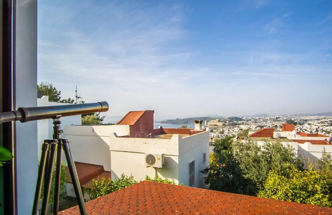 Villa With Private Pool And Lovely View In Bodrum-1
