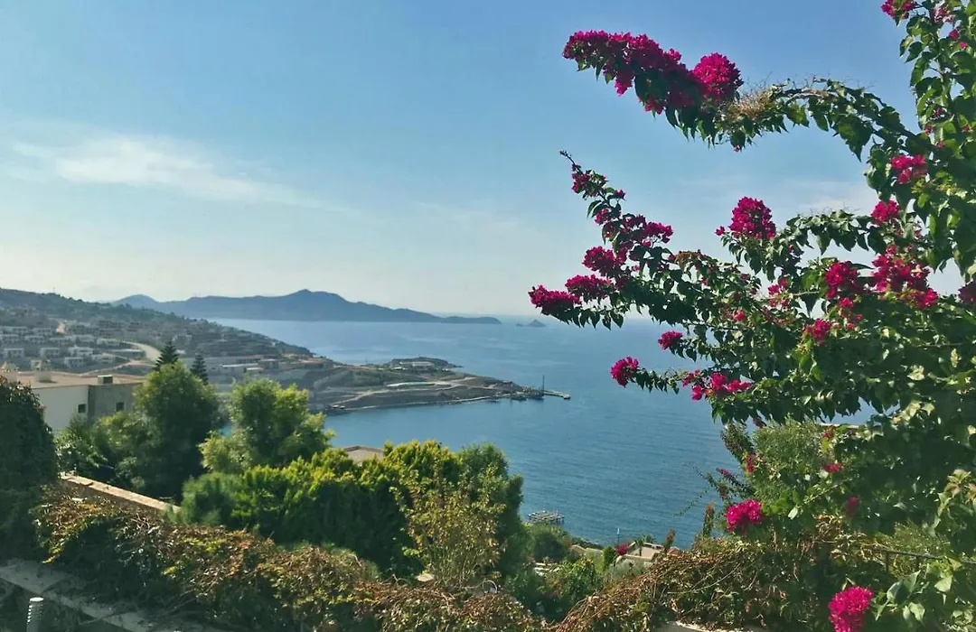 Havuzlu Villa-1