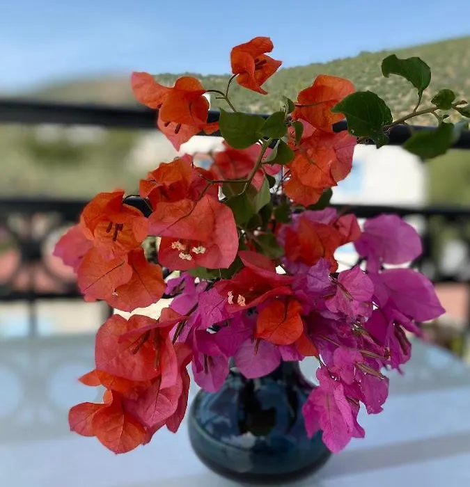 Merve Apartments, Your Home From Home In Central Bodrum, Street Cats Frequent The Property, Not All Apartments Have Balconies , Ground Floor Have Terrace With Table And Chairs-1