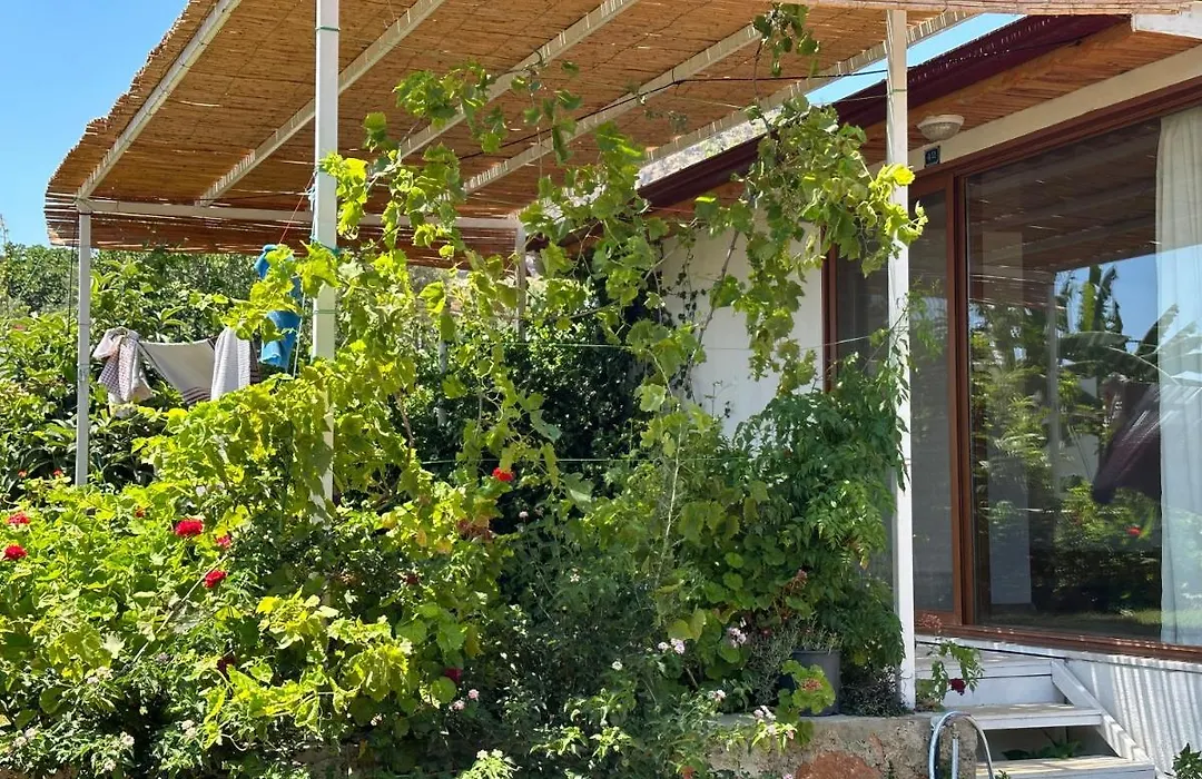 Incekum Pansiyon-1
