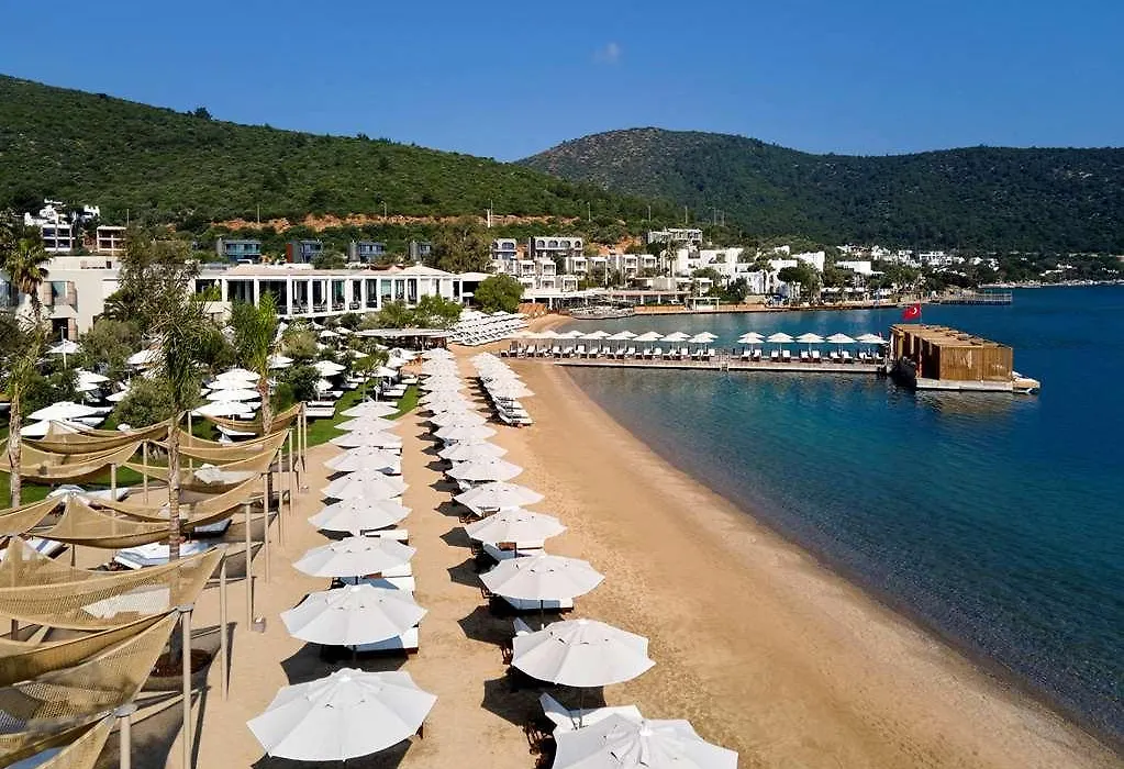 Voyage Torba-1