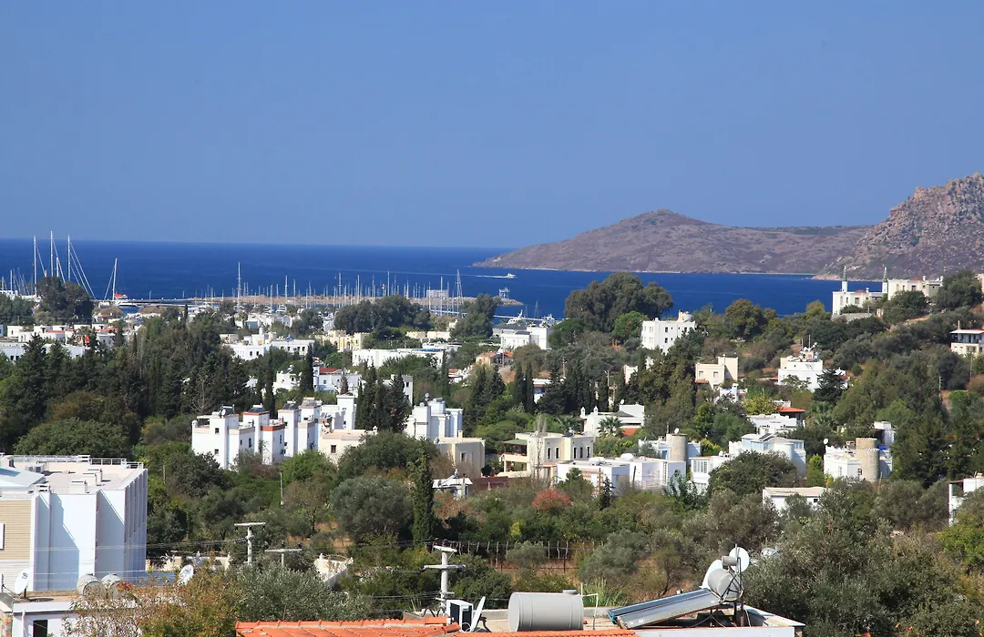 Sandima 37 Suites-1