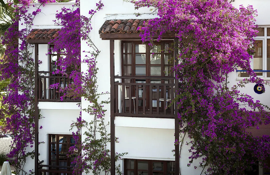 Orion Hotel-1
