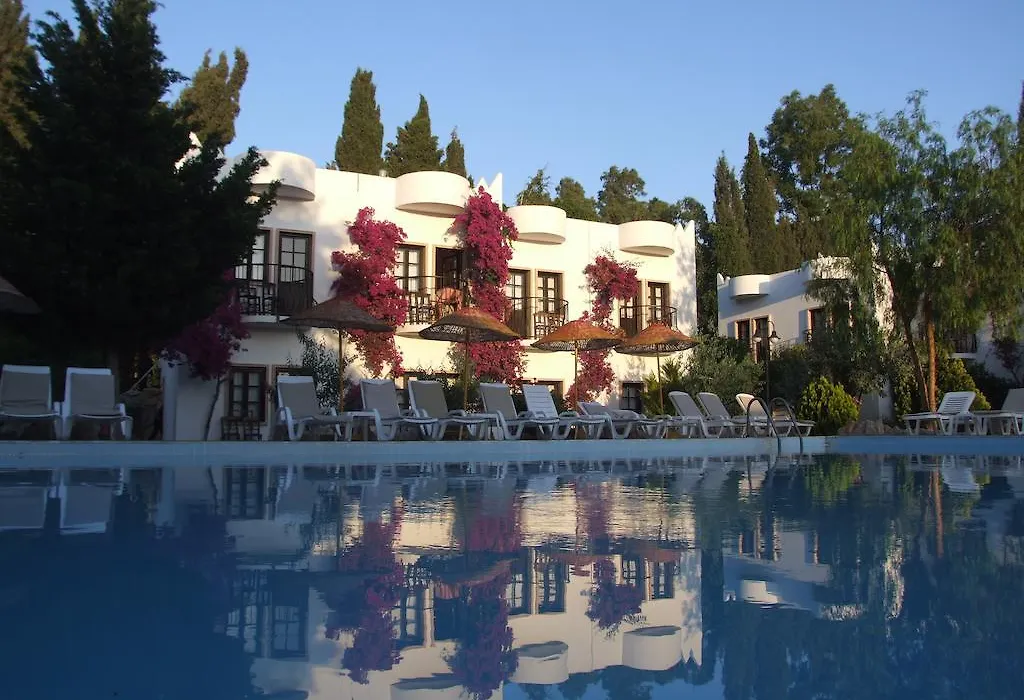 Safir Hotel-1