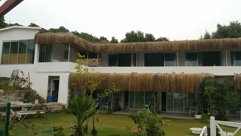 Oza Boutique Hotel-1