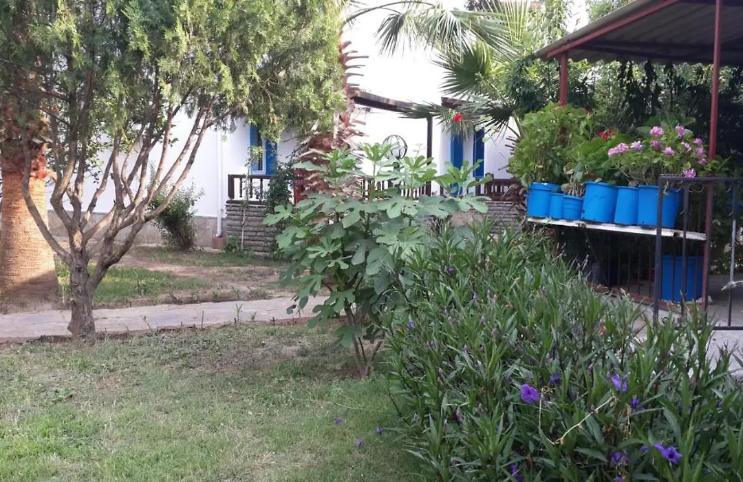 Alfa Apartments-1