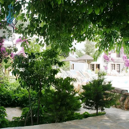 Safir Hotel-2