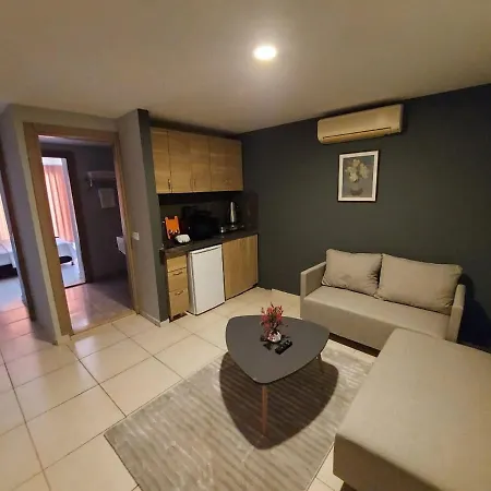 Rozetta Suite-3