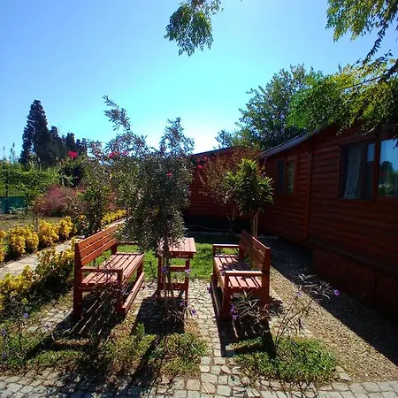Defnewoodhome-2