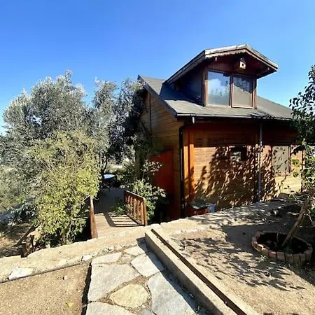 Artistic 1-Bedroom Cabin With Indoor Fireplace-3