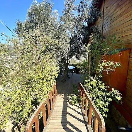 Artistic 1-Bedroom Cabin With Indoor Fireplace-2