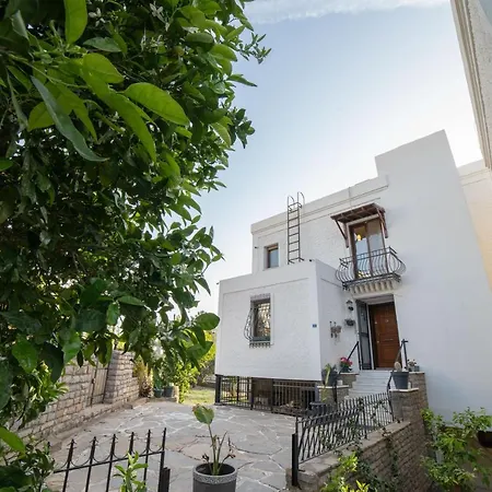 Dolphin Villa-2