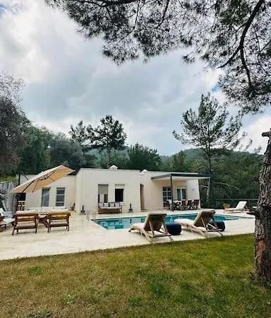 Doganin Icinde Muekemmel Villa-3
