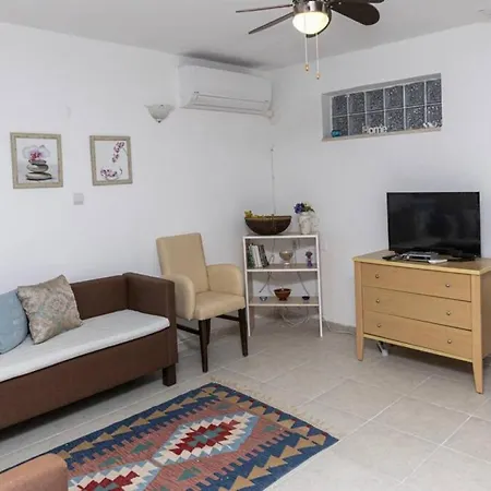 Amazing Triplex With Fantastic Sea View In Turkbuku-2