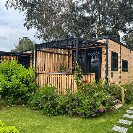 Bitez Tinyhouse-2