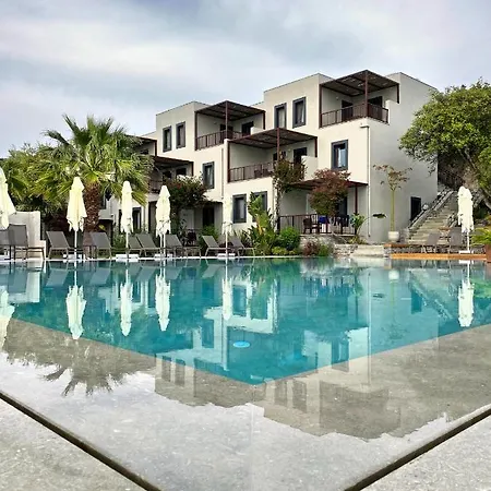 Dorman Suites-3