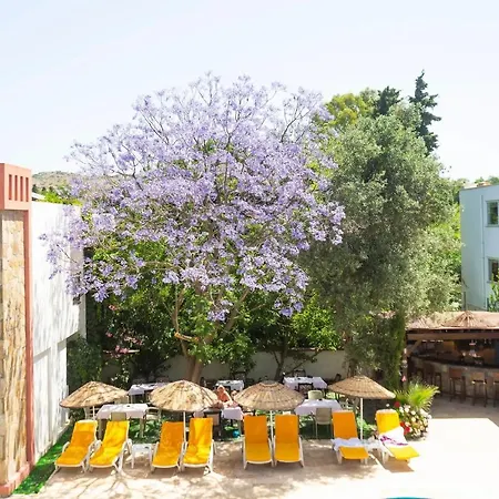 Kriss Hotel Bodrum-3