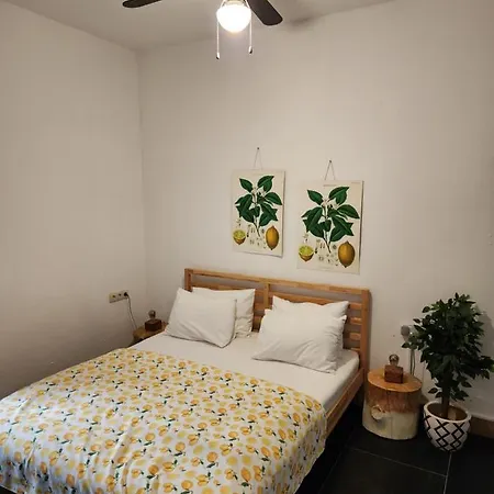 Ruya Apart Boutique Pension-2