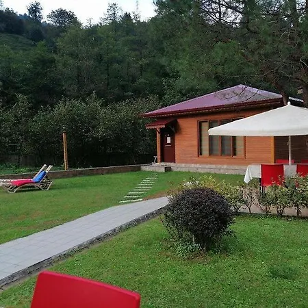 Trabzon Karadeniz Uzungol-3