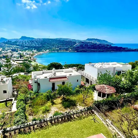 Seaview Grand - Magic Gundogan-3