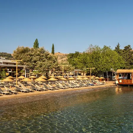 Daphnis Hotel-3