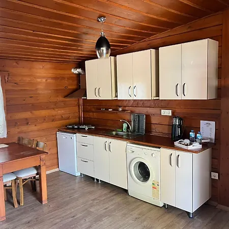 Woodentowns-Ahşap Evler-3