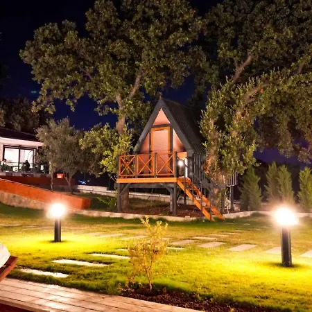 Elasu Bodrum-3