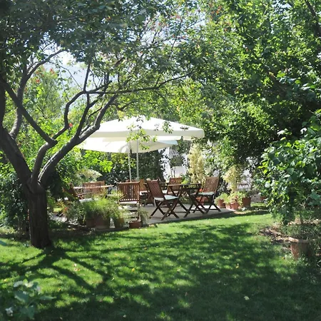 Hotel Gulec-2