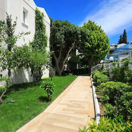 Summer Garden Suites Beach Hotel-3