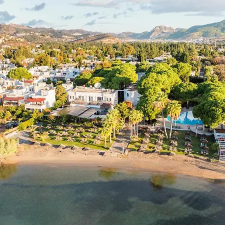 Bodrum Seaside Beach Club-2