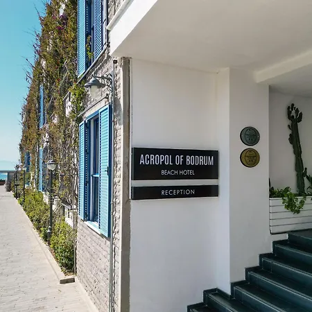 Acropol Of Bodrum Beach Hotel-2