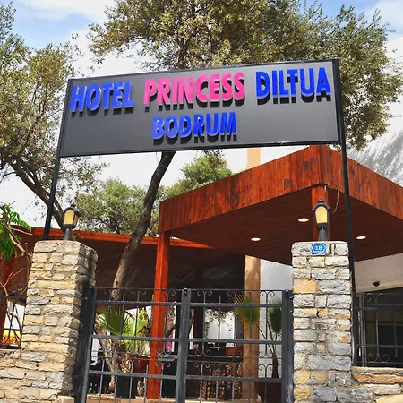Hotel Princess Diltua-2