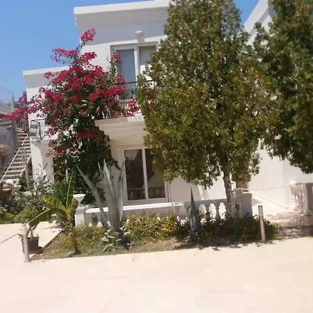 Artinus Hotel Torba-3