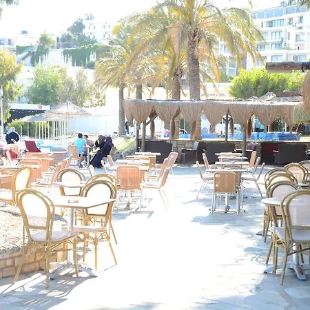 Rexene Resort-2