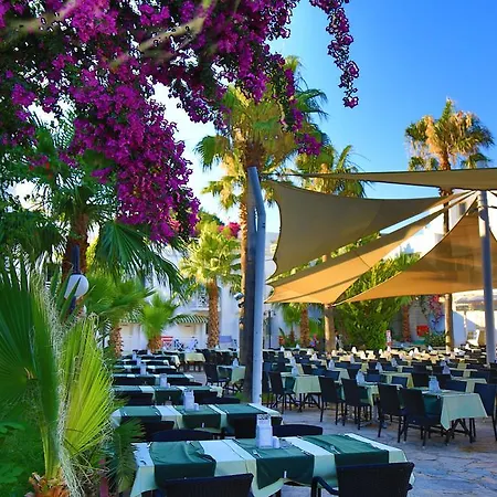 Rexene Resort-3