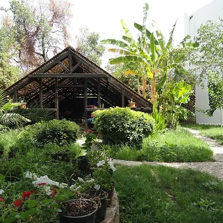 Ece "Vegan"Hotel Bodrum-2